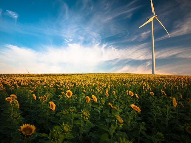 Zakelijke Energie: Een essentiële gids voor kostenbesparing en efficiëntie